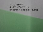 【クスノキ】パレットカラー　アップルグリーン